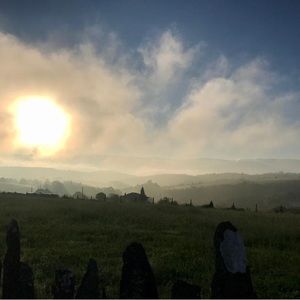 Meet your Posher, Viviana!